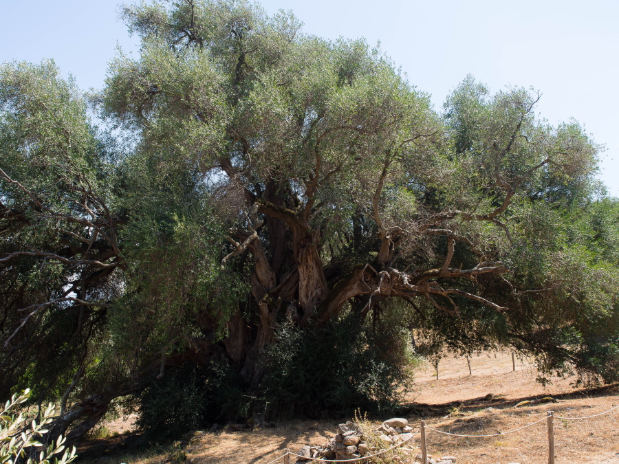 mill col2 - Copia.jpg