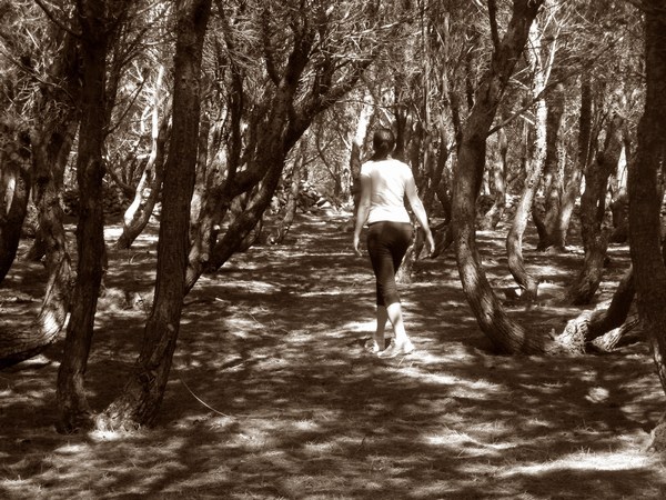 mini-favignana 045.jpg