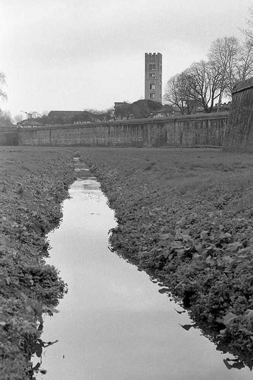 Mura copia.jpg