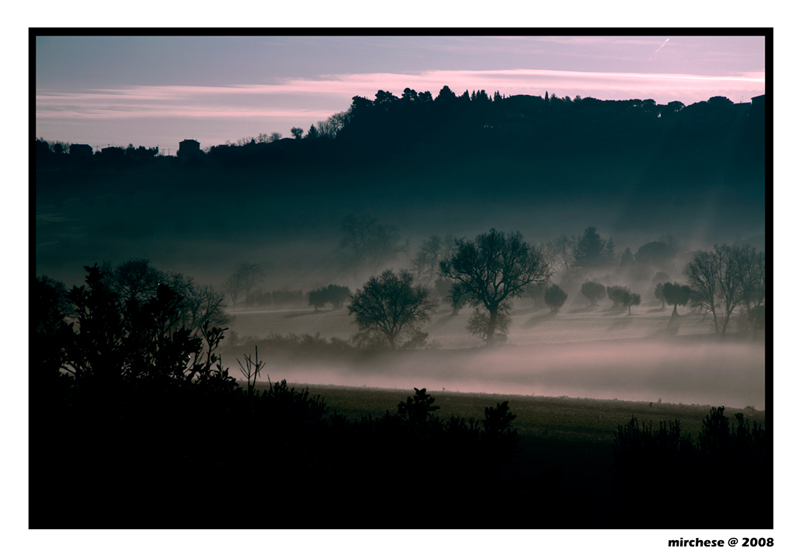 NEBBIA-#2-mod-web.jpg