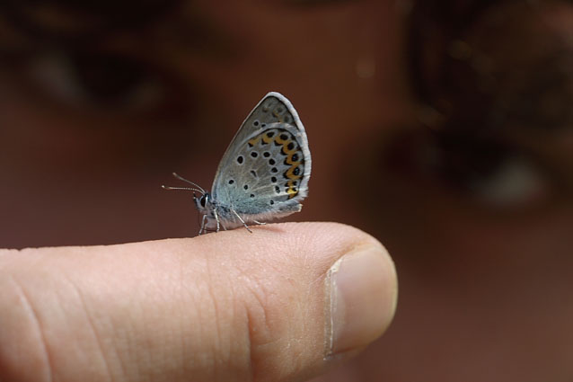 occhi negli occhi-pic.jpg