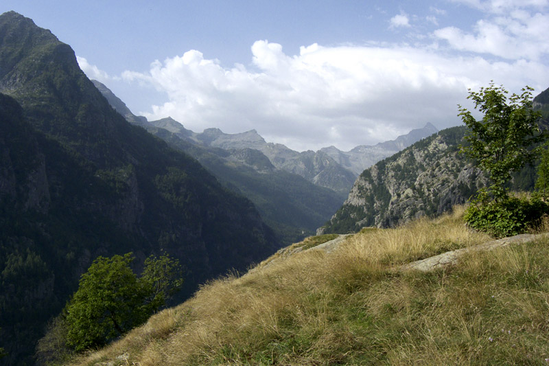 P1000144.jpg