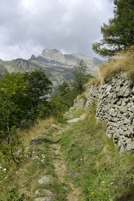 P1000157.jpg