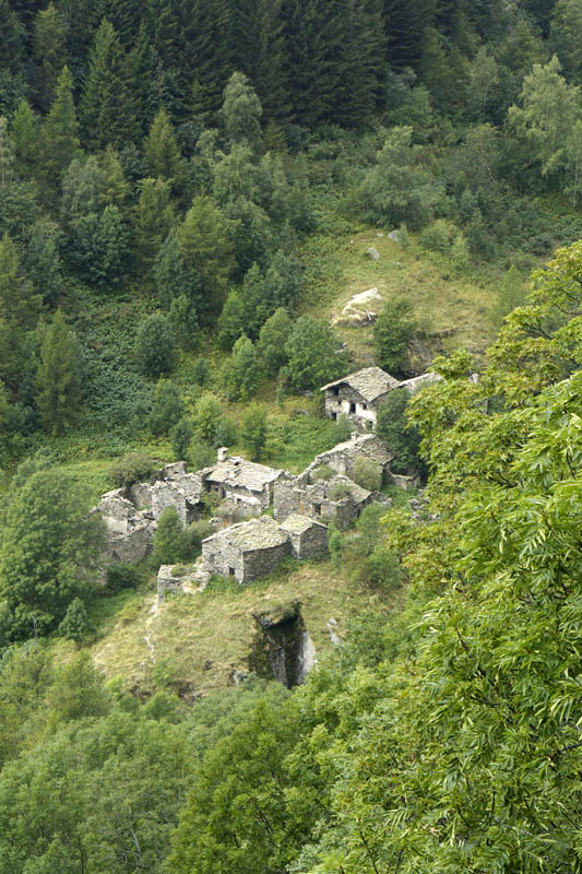 P1000185.jpg
