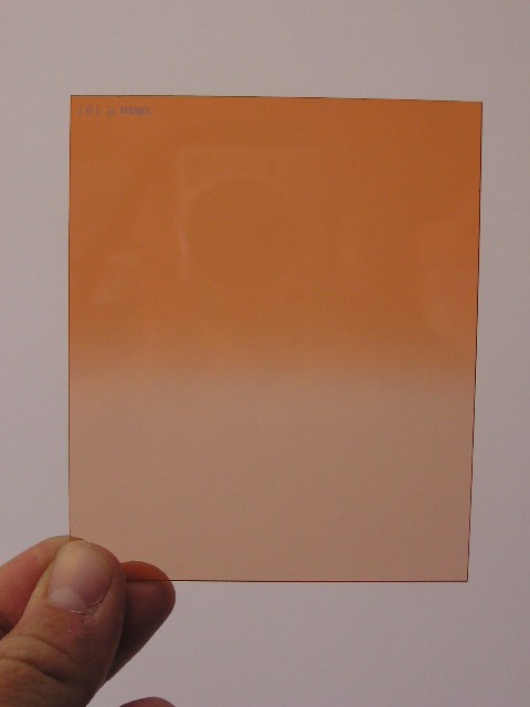 P1010009.JPG