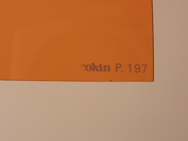 P1010010.JPG