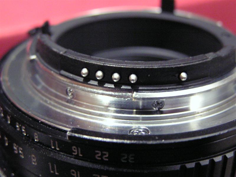 P1010112 (Medium).JPG