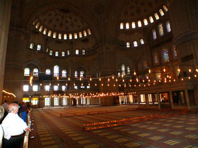 P1010399 (Small).jpg