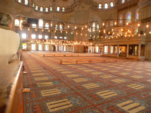 P1010400 (Small).JPG