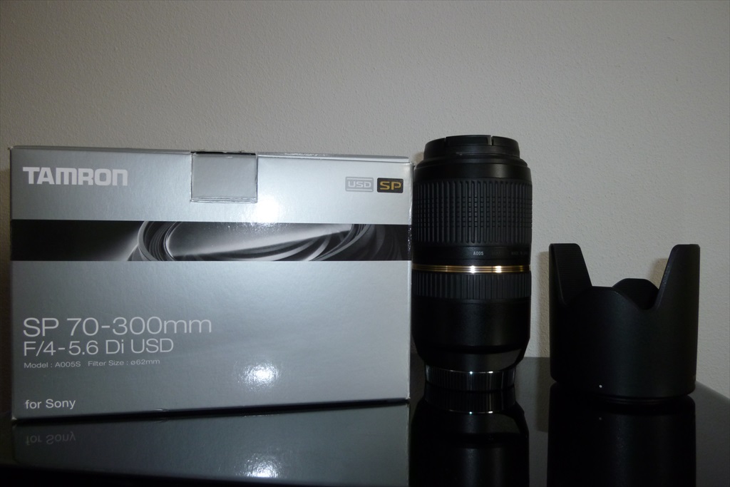 P1010541.JPG