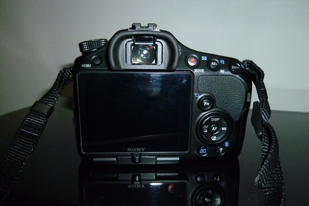 P1010554.JPG
