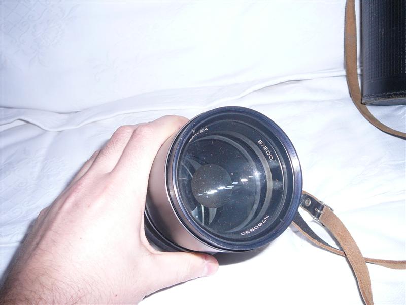 P1010667 (Medium).JPG