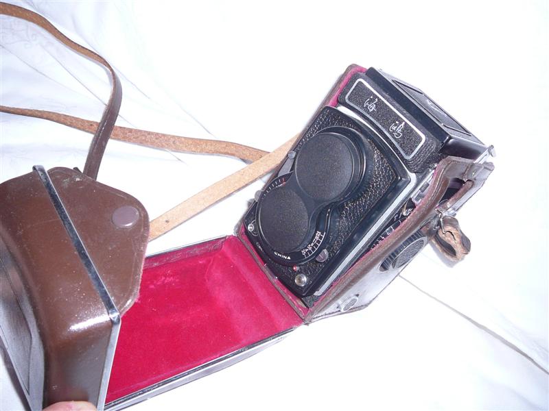 P1010668 (Medium).JPG