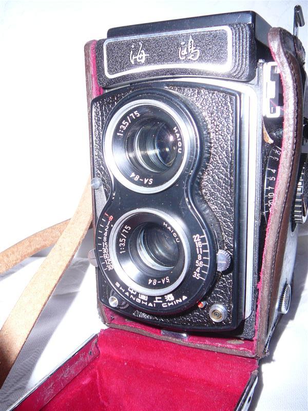 P1010669 (Medium).JPG