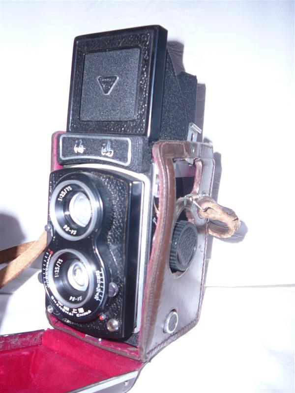 P1010670 (Medium).JPG