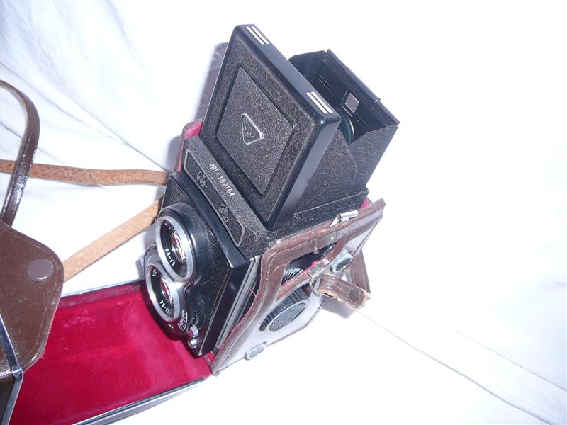 P1010671 (Medium).JPG