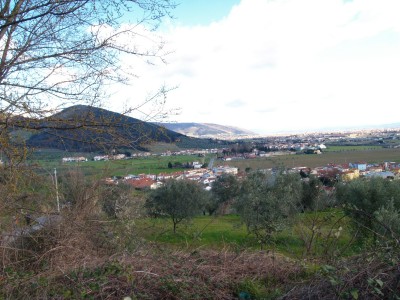 p1015434w.jpg