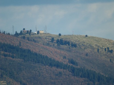 P1015446w.jpg