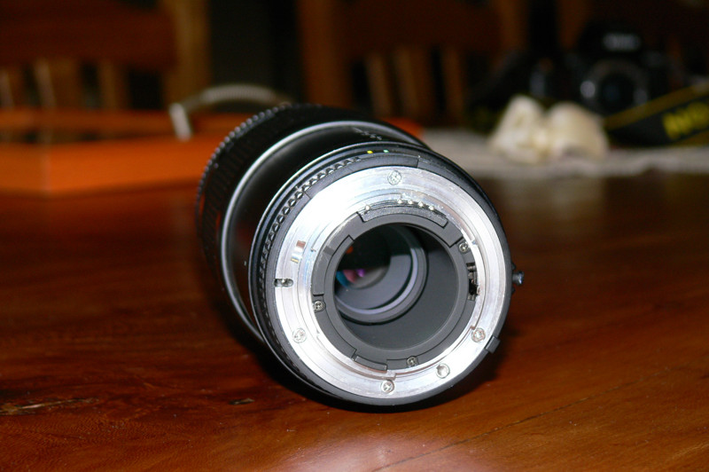 P1020441.jpg