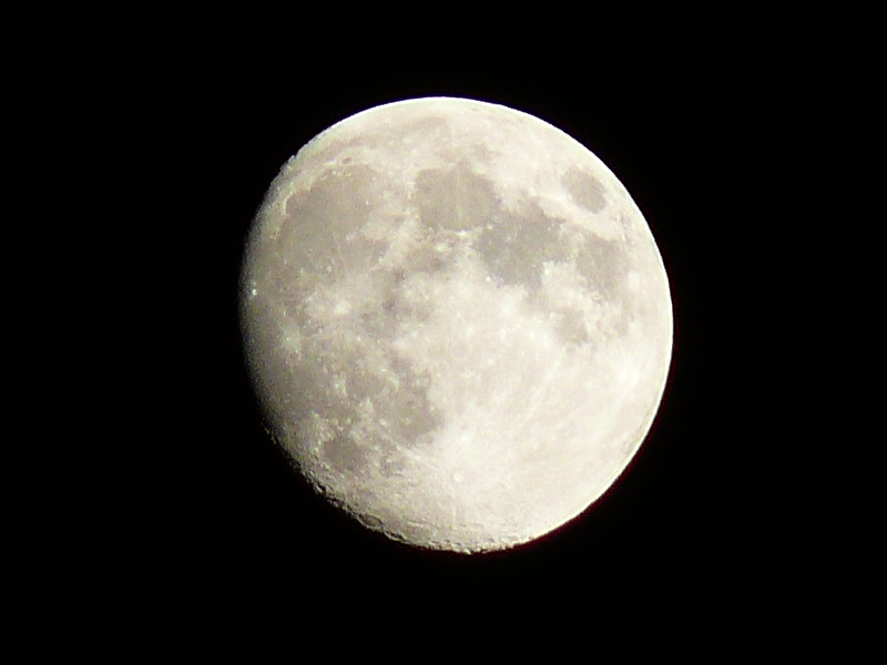 p1020807.jpg