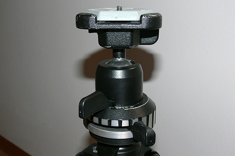 P1030332.jpg