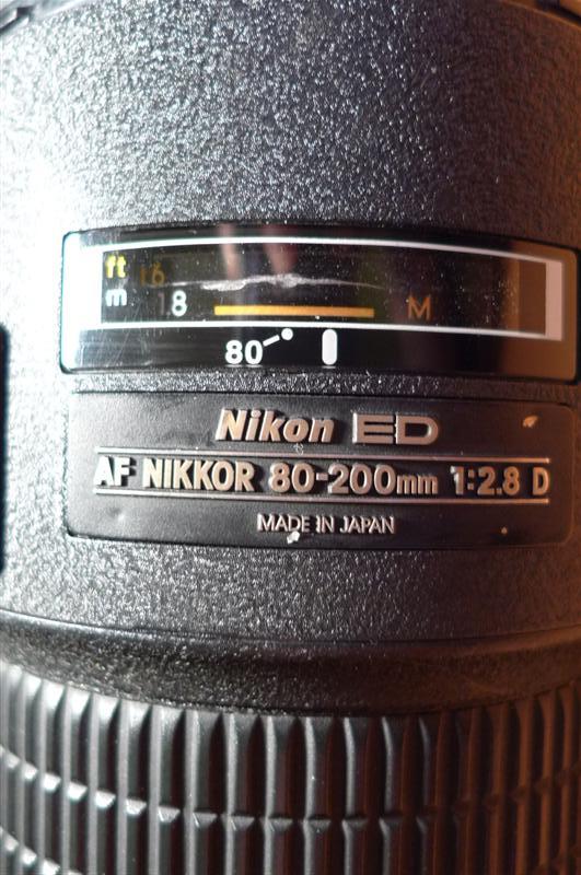 P1060115 (Medium).JPG