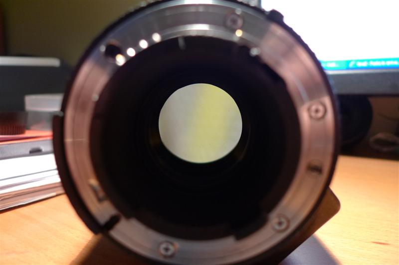 P1060119 (Medium).JPG