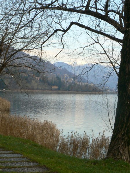 P1060424.jpg