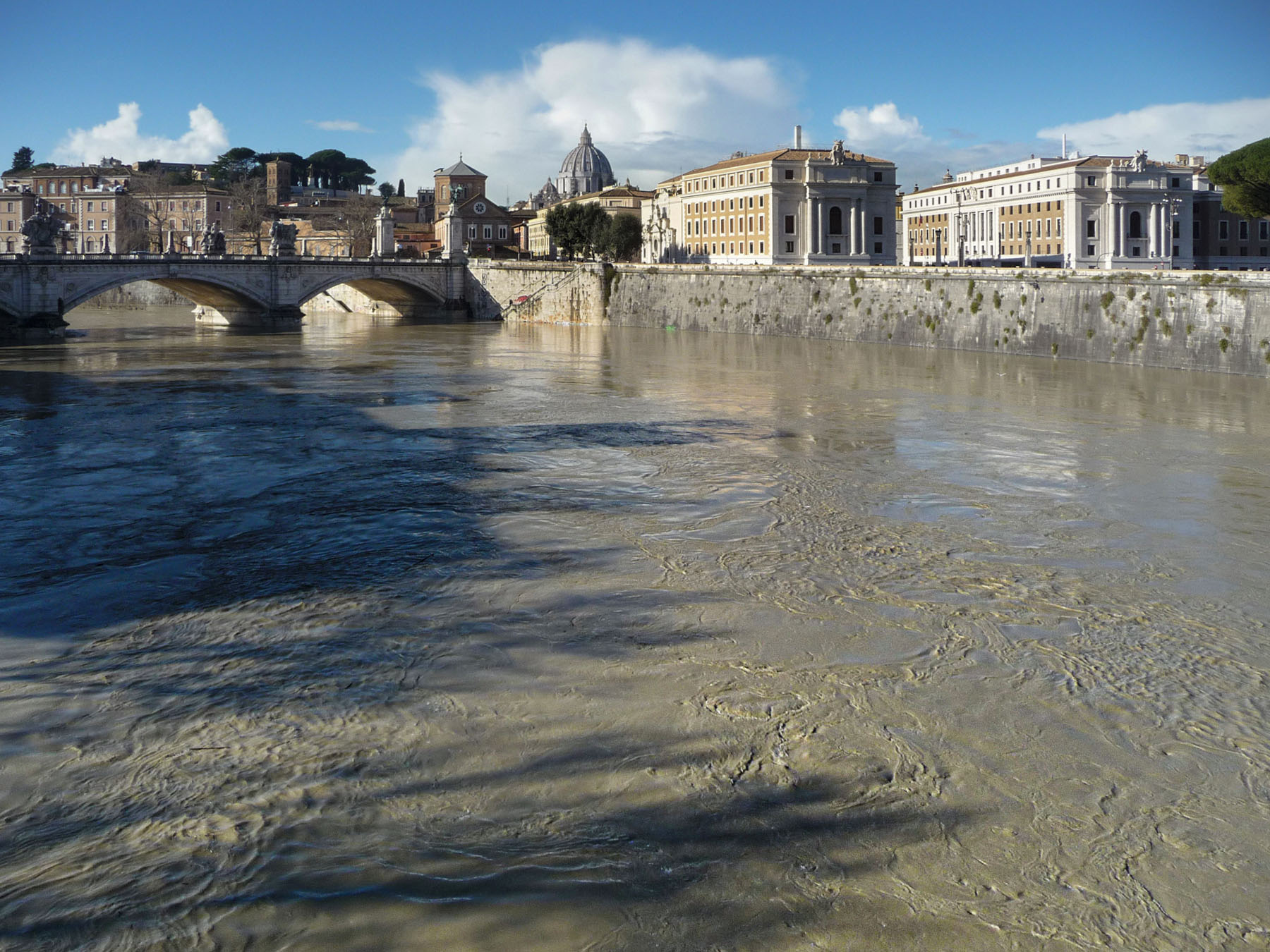 p1310354-ridotta_166 b.jpg