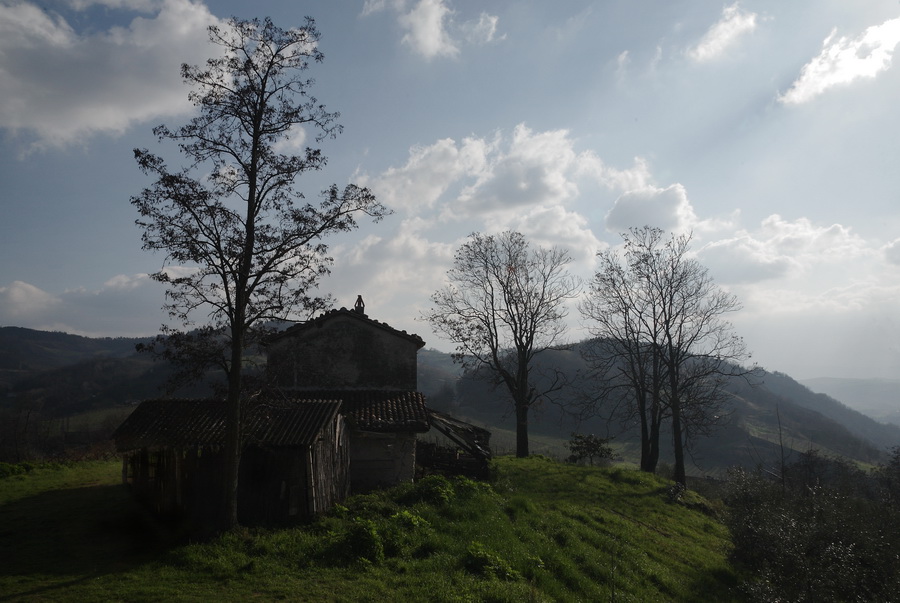 Paesaggi006A.jpg