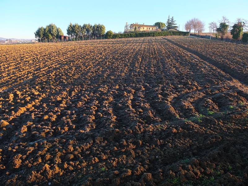 paesaggio_01.jpg