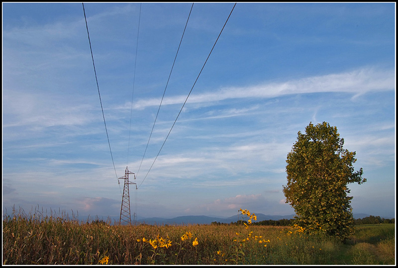 pano800.jpg