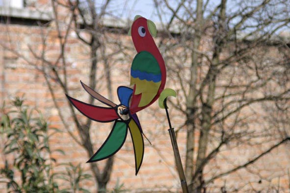 pappagallo.jpg