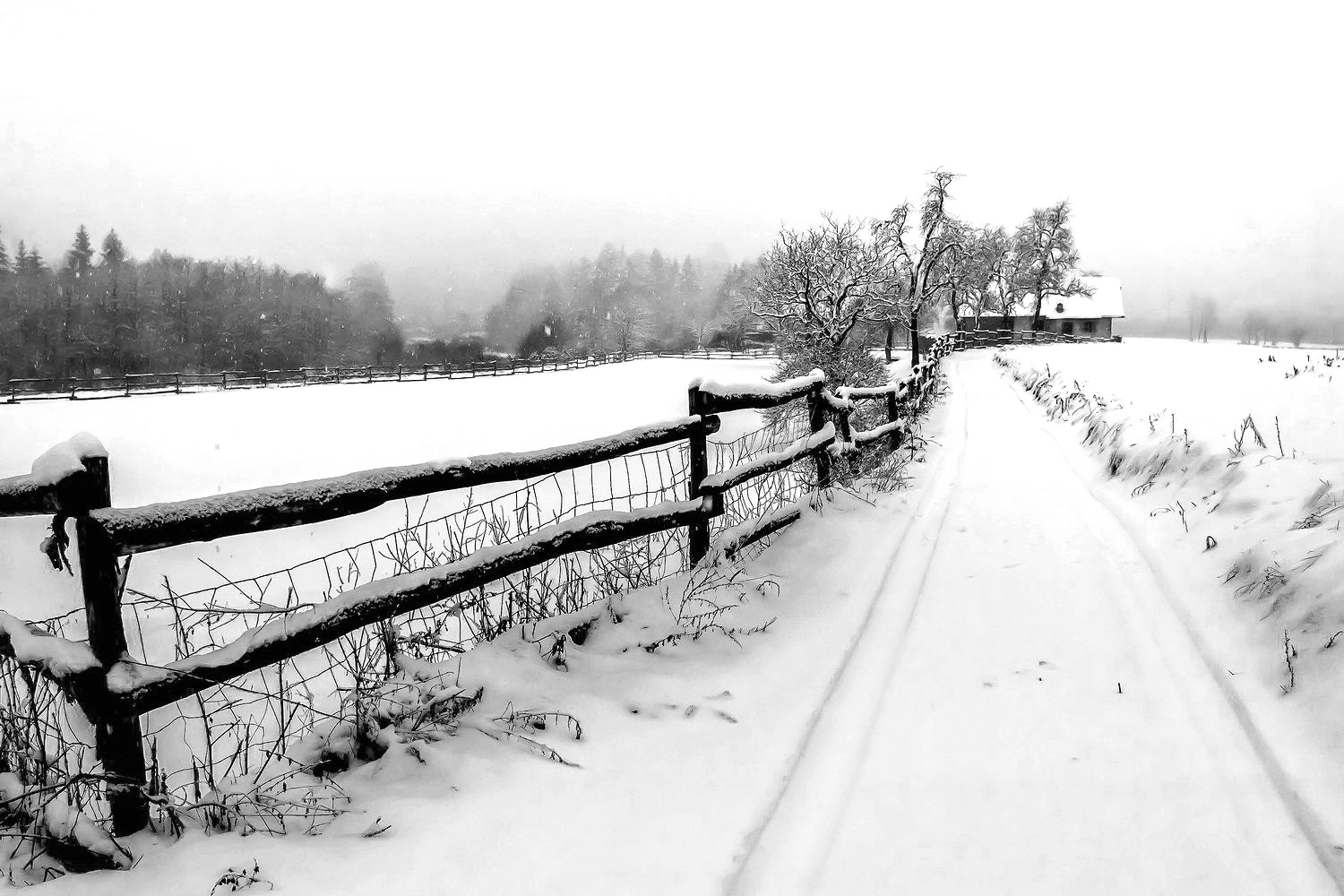 passeggoata fresca.jpg