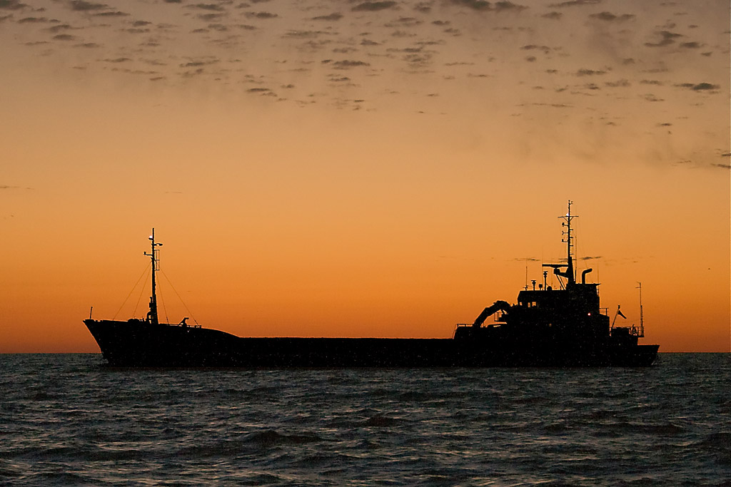 Pesca in mare con Pippo-2-Edit-Edit-Edit-Edit 200 kb.jpg