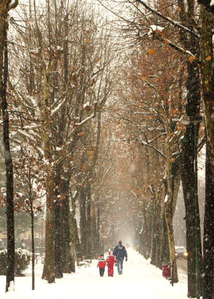 PICT1053 copia 3 (Medium).jpg