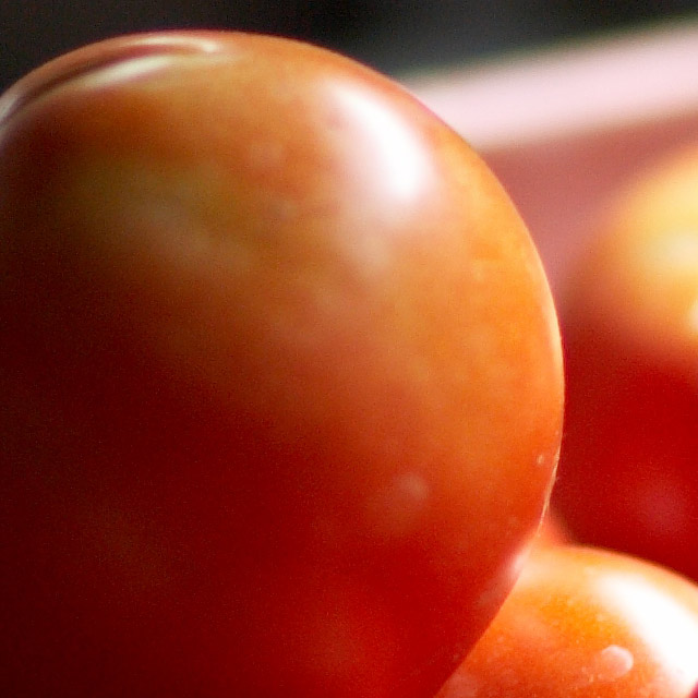 pom-crop.jpg