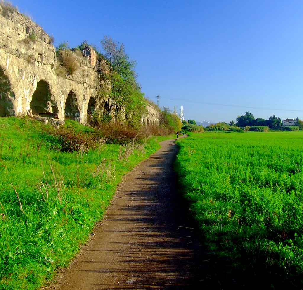 prato-verde.jpg