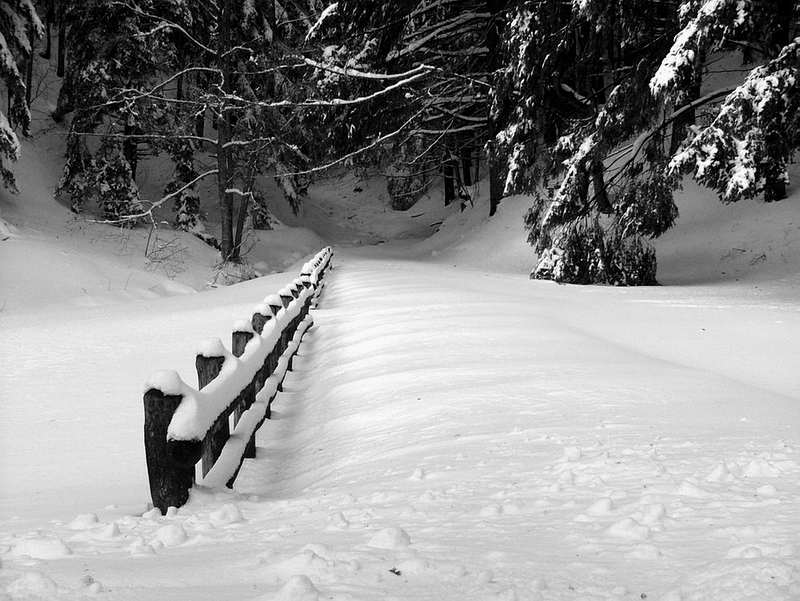 Prato al fiume B&N.jpeg