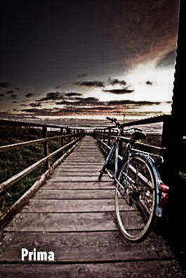 prima_837.jpg