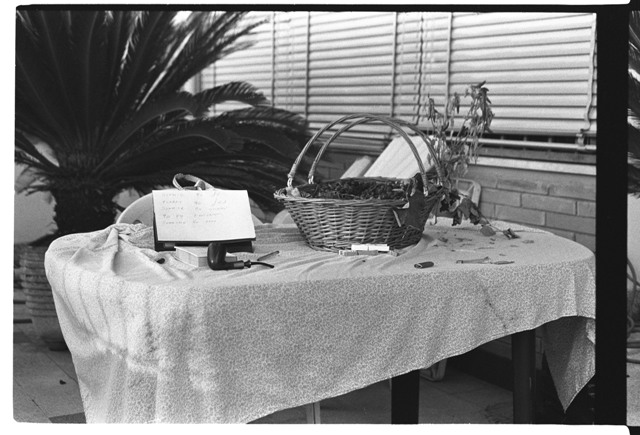 prova cron 50 nero2.jpg