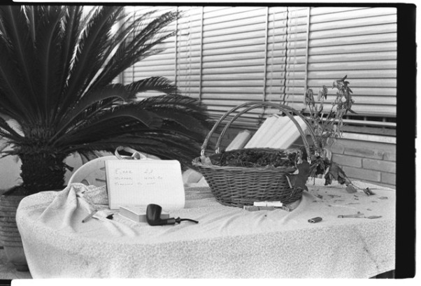 prova cron 50 vite.jpg