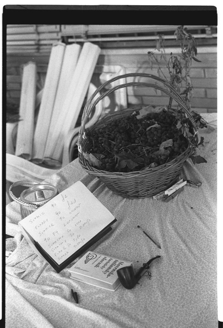 prova summar graff 50 .jpg