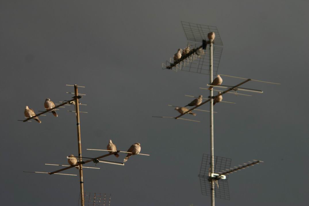 Ridimensiona diIMG_3998.jpg