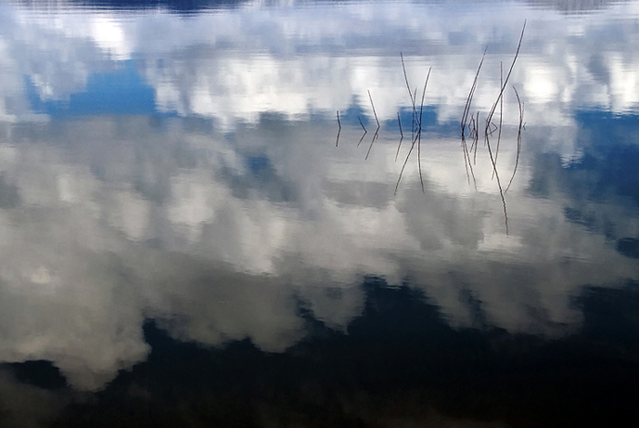 Riflessi no crop.jpg