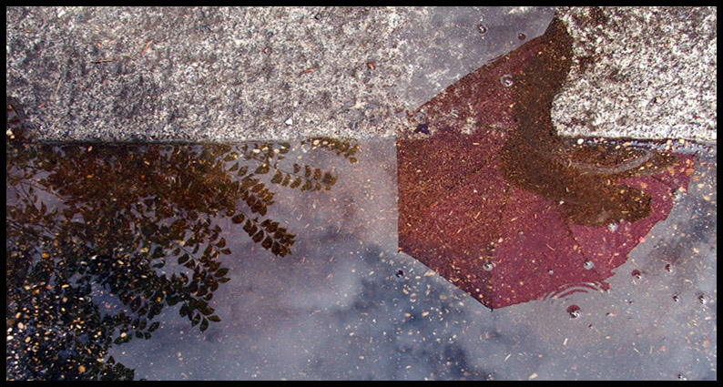 Riflessione...#1 taglio.jpg