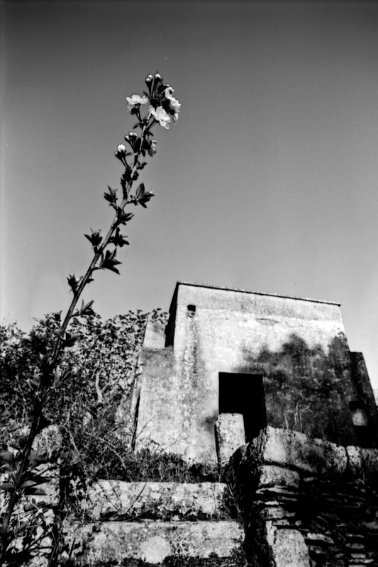 Rollei-2.jpg