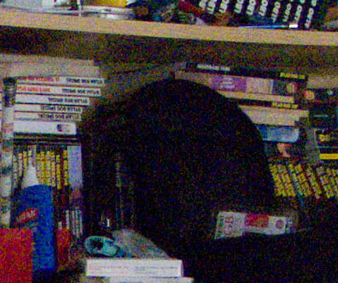 s100 1600 iso.jpg