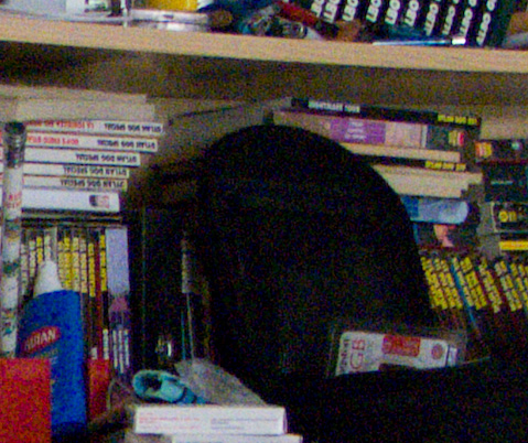 s100 800 iso.jpg