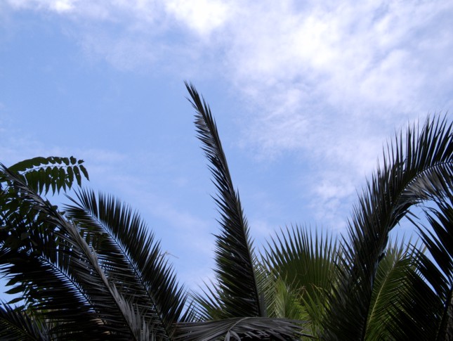 s7raw riconvertita.JPG